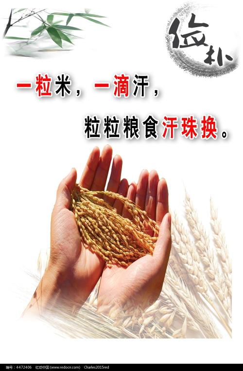 办理摩纳哥